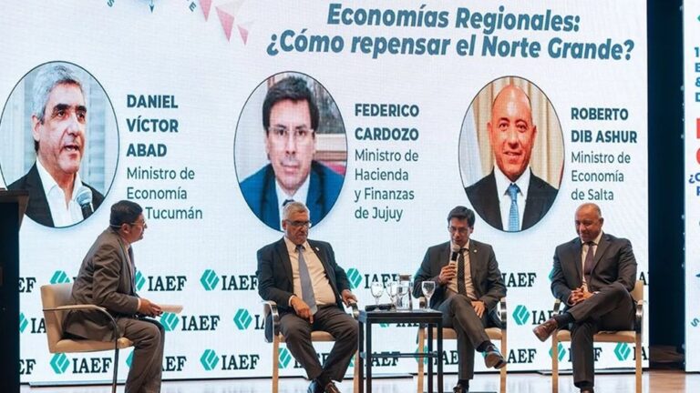 Economías regionales: informe de Jujuy