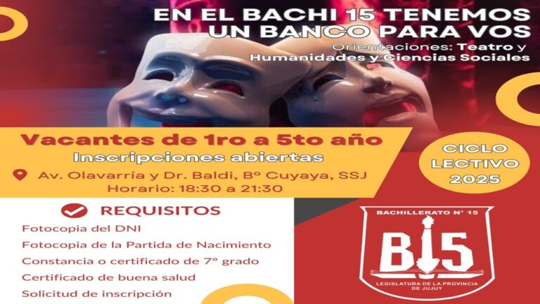 Bachi 15, inscripciones